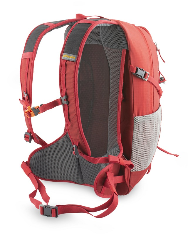 PINGUIN RIDE 19 foto 4